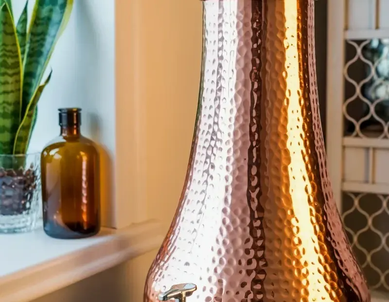 Vintage Hammered Copper Water Filter with Bell Shape & Snake Plant | Cozy Fall Windowsill Decor
